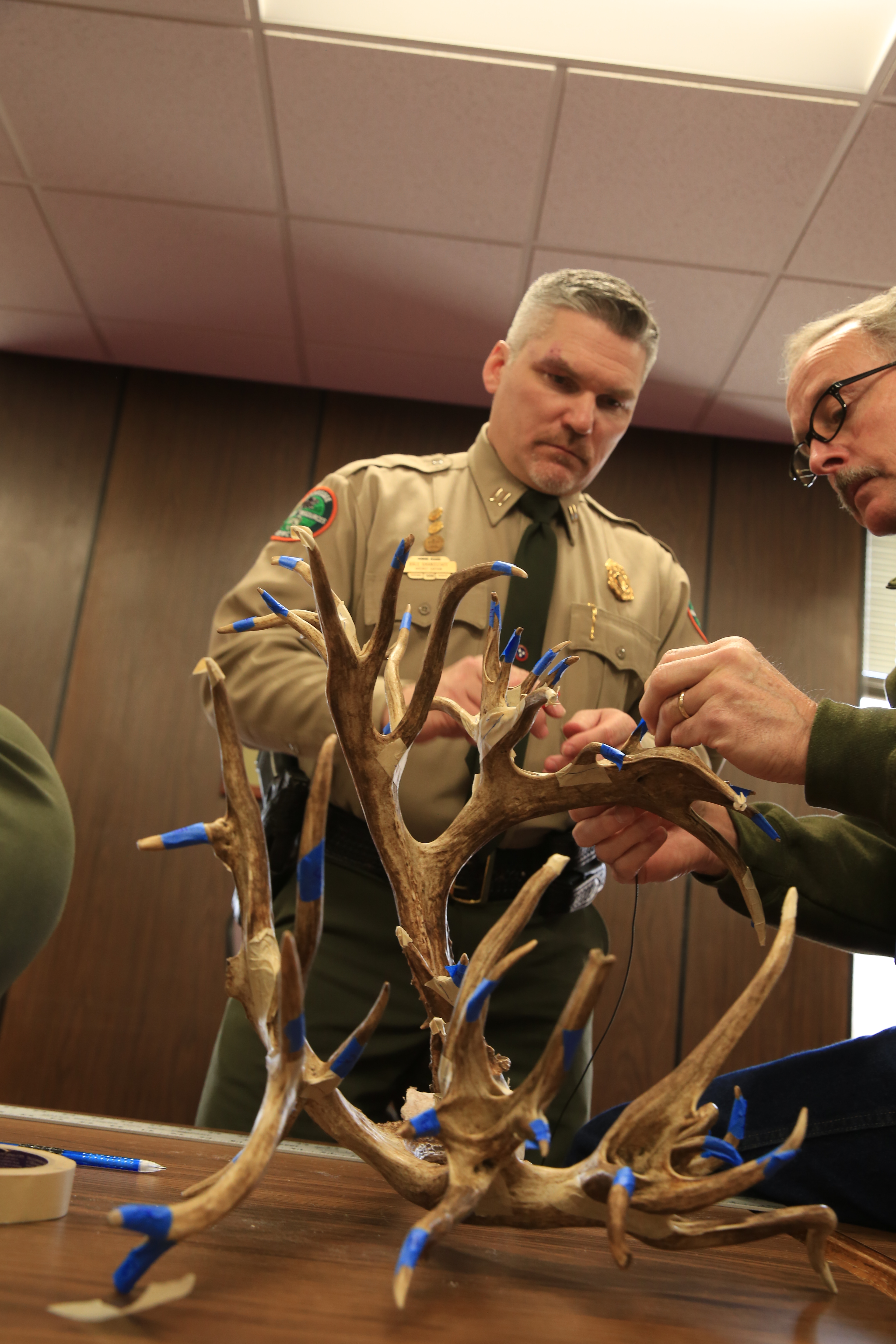Welcome to the Tennessee Deer Registry